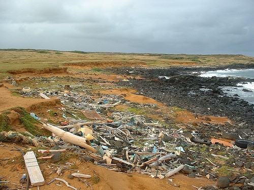 Pollution on the beach © SW